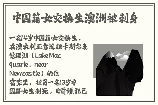 夜里1000款禁用软件